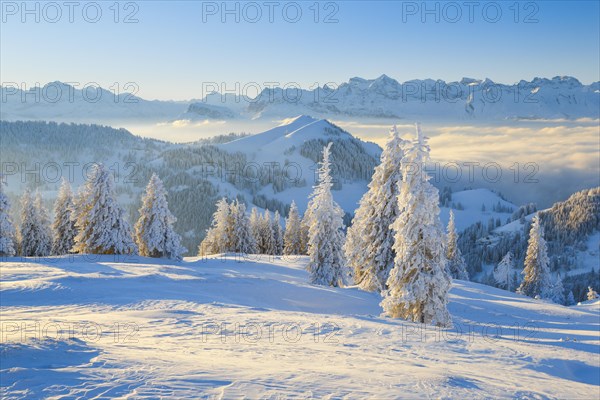 View from the Rigi