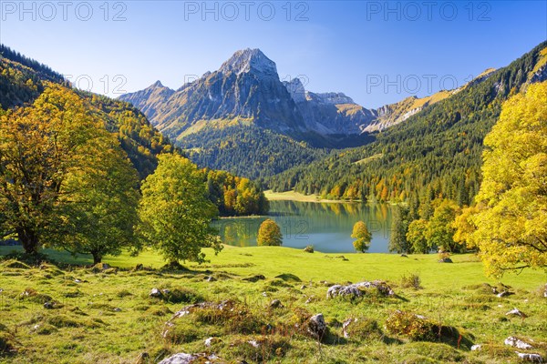 Obersee