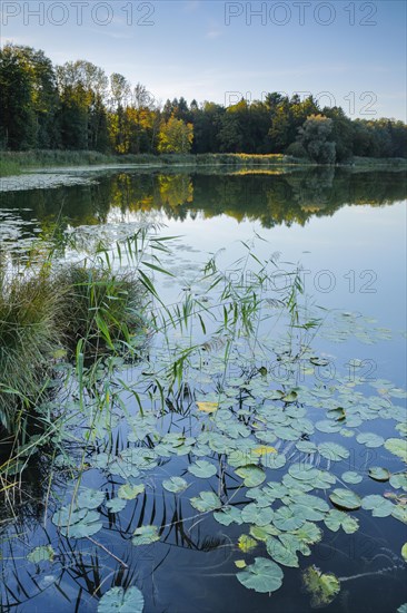 Burgaeschisee