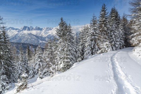 Winter landscape