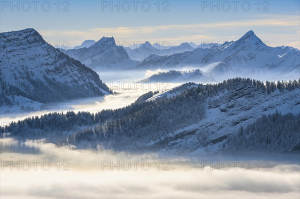 View Kronberg