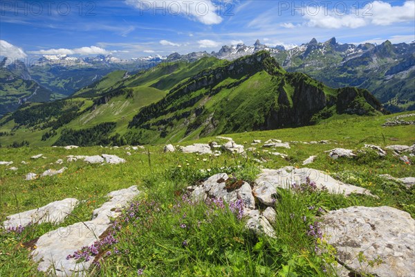 Swiss Alps with Chaiserstock