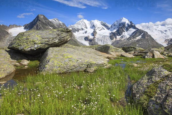 Piz Tschierva-3546 m