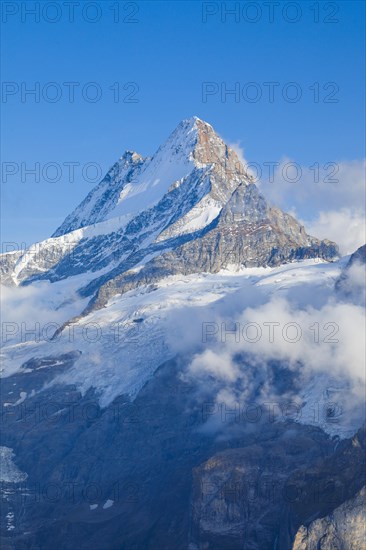 Schreckhorn