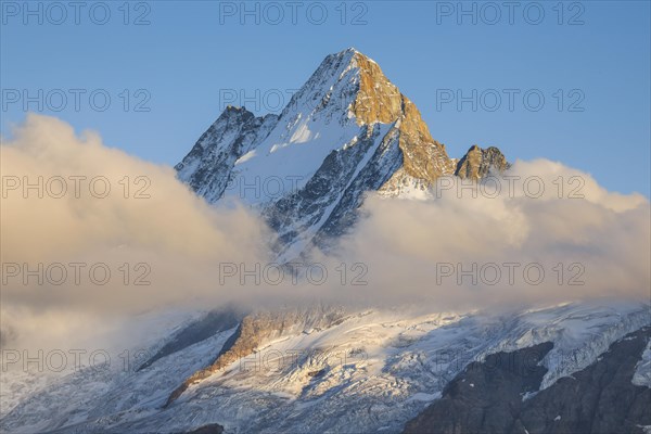 Schreckhorn