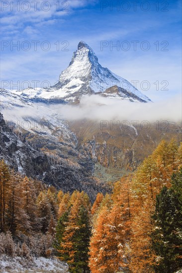 Matterhorn and larch