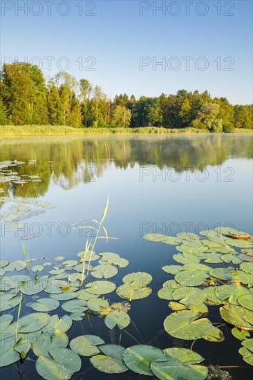 Burgaeschisee