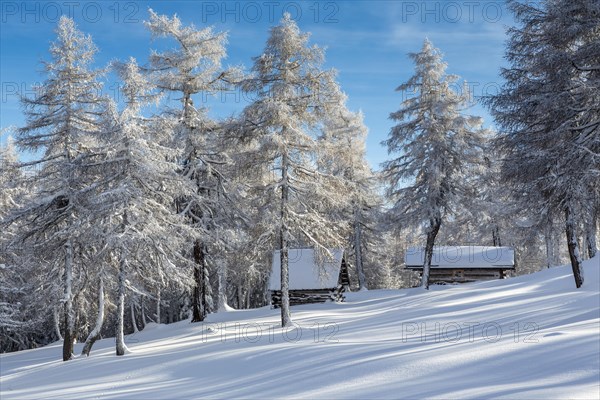 Winter landscape