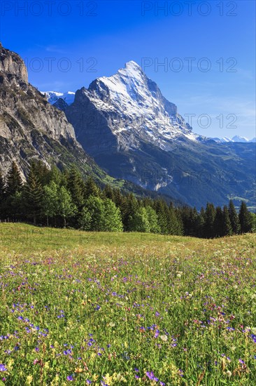 Eiger