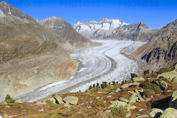 Great Aletsch Glacier and Wannenhorns