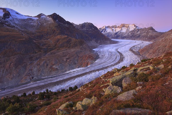 Great Aletsch Glacier and Wannenhorns