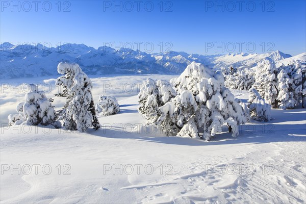 Bernese Alps