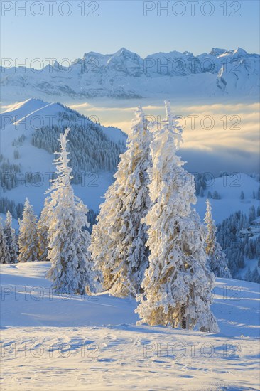 View from the Rigi