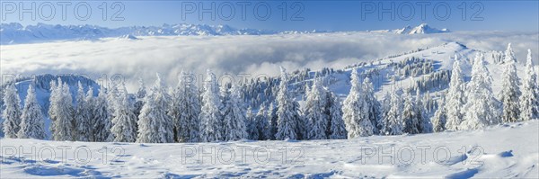 Titlis