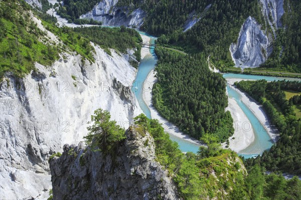 Rhine Gorge