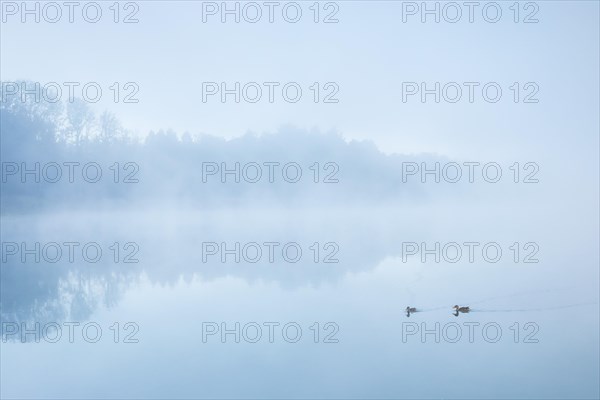 Burgaeschisee