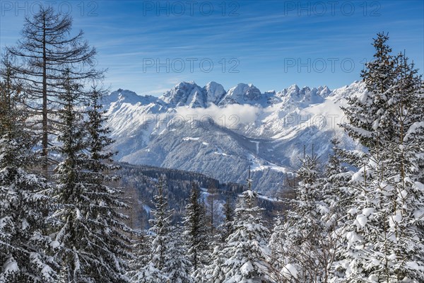 Winter landscape