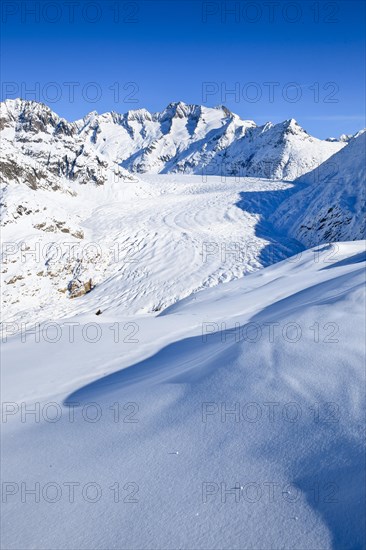 Wannenhoerner and Aletsch glacier in winter