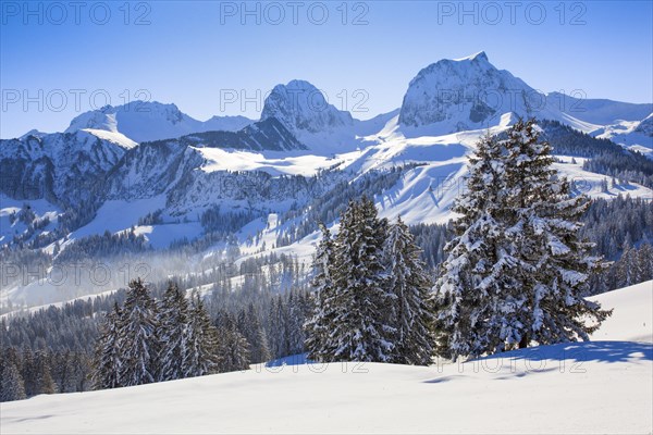 Swiss Pre-Alps