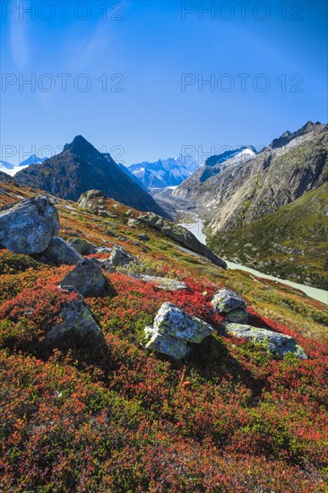 Oberaar at the Grimsel Pass