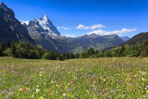 Eiger