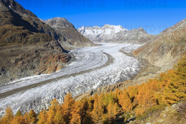 Great Aletsch Glacier and Wannenhorns