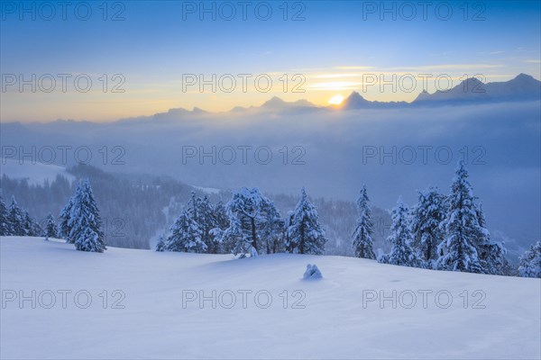 Bernese Alps