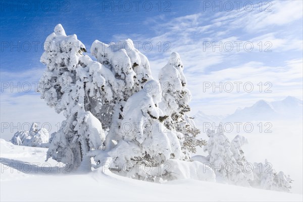 Bernese Alps