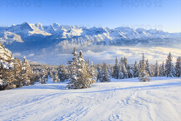 Bernese Alps