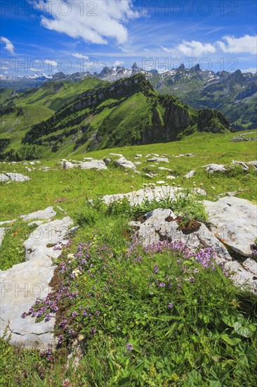 Swiss Alps with Chaiserstock