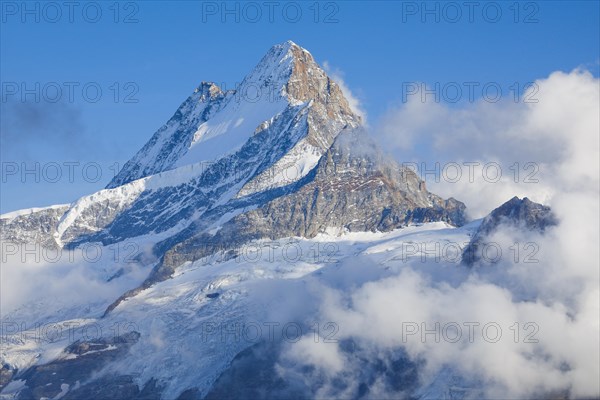 Schreckhorn