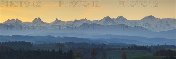 View Emmental