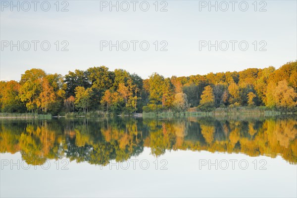 Burgaeschisee