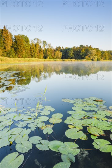 Burgaeschisee