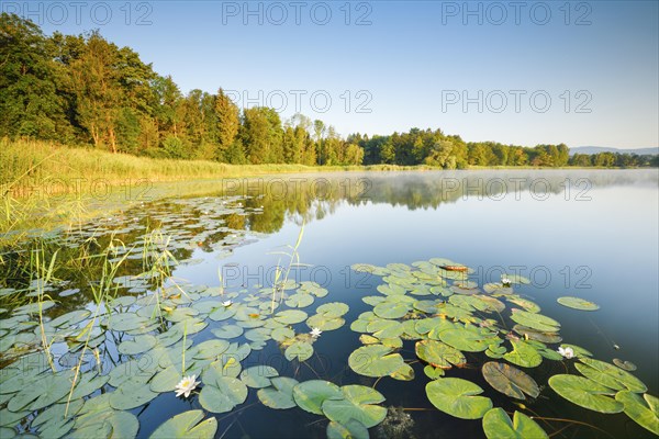 Burgaeschisee