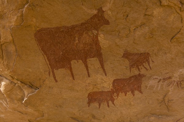 Rock paintings in the Unesco world heritage