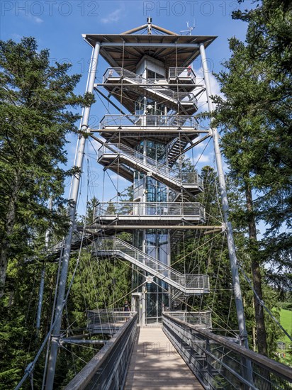 Viewing platform with tree top walk and tower in nature adventure park Skywalk Allgaeu