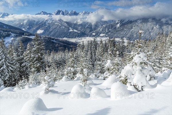 Winter landscape