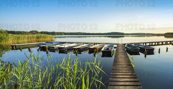 At the Schaalsee