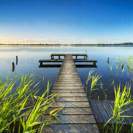 Morning atmosphere at the Schaalsee