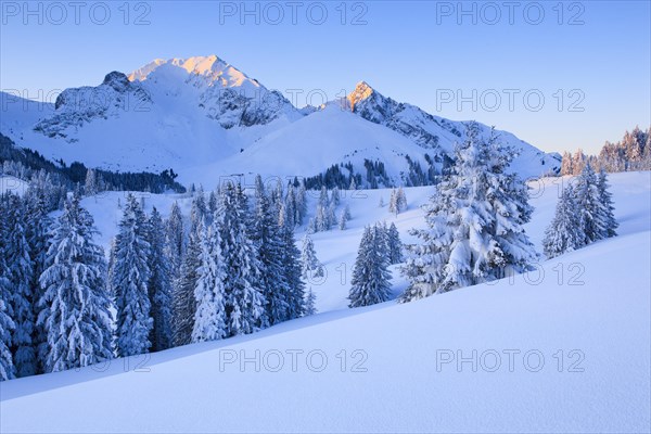 Swiss Prealps