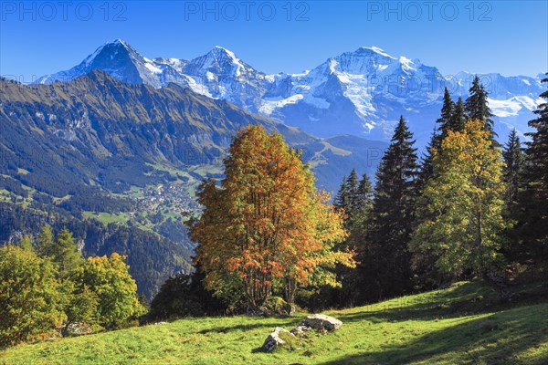 Eiger