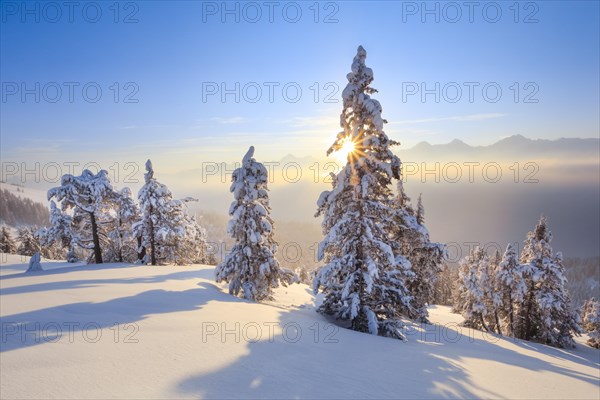 Bernese Alps