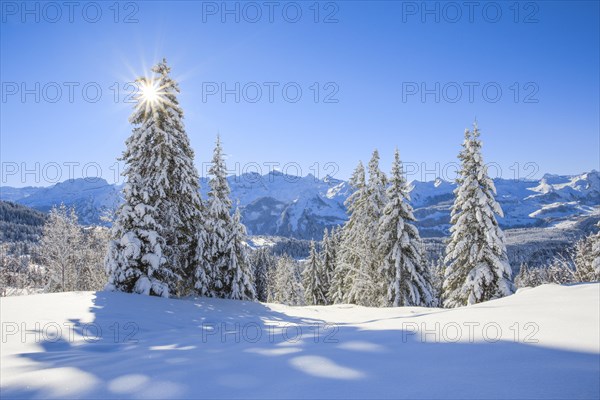 Central Swiss Alps