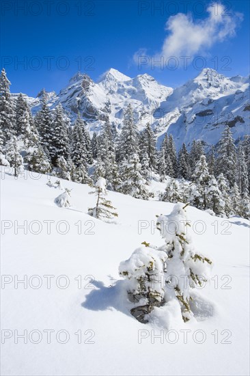 Blueemlisalp Rothorn