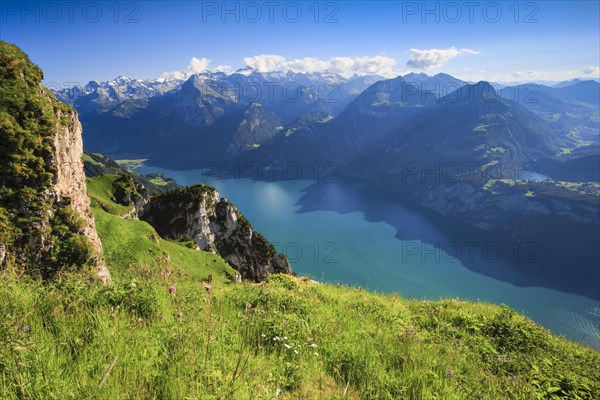 View from Fronalpstock