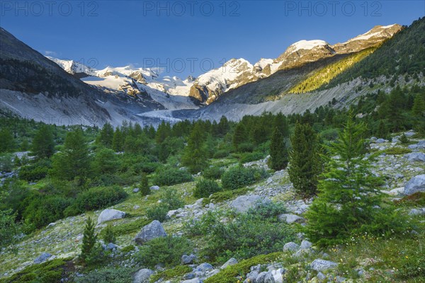 Morteratsch valley