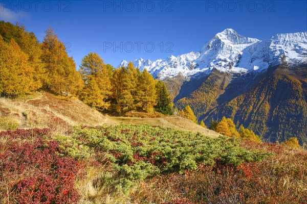 Bietschhorn