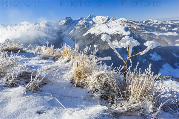 View Hoher Kasten