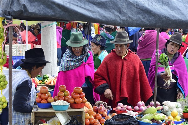 Sales stand with vegetables at the weekly market market